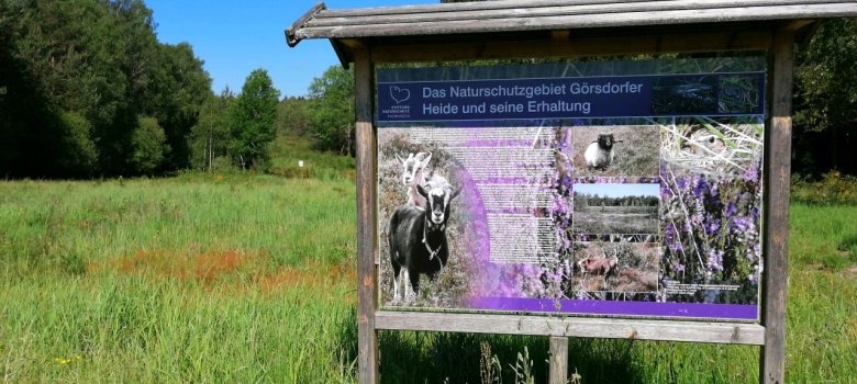 Hinweisschild im NSG Görsdorfer Heide im Grünen Band