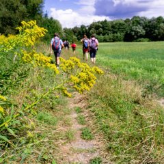 Grenzwanderweg Grünes Band (Iron Curtain Trail) bei Heubisch