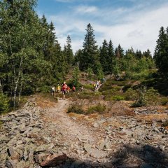 Wanderung entlang des Griffelpfades bei Steinach