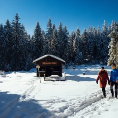 Winterwanderung bei Steinach