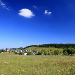 Bergwiese bei Steinheid