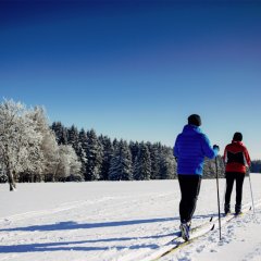 Langlaufloipe bei Steinheid