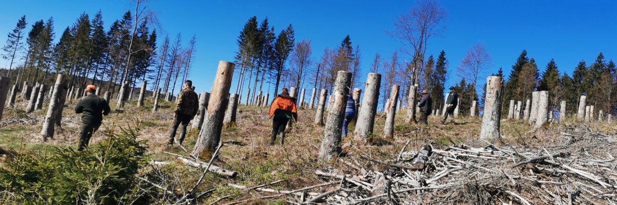 Übung zur Fallwildsuche am 23. April 2026