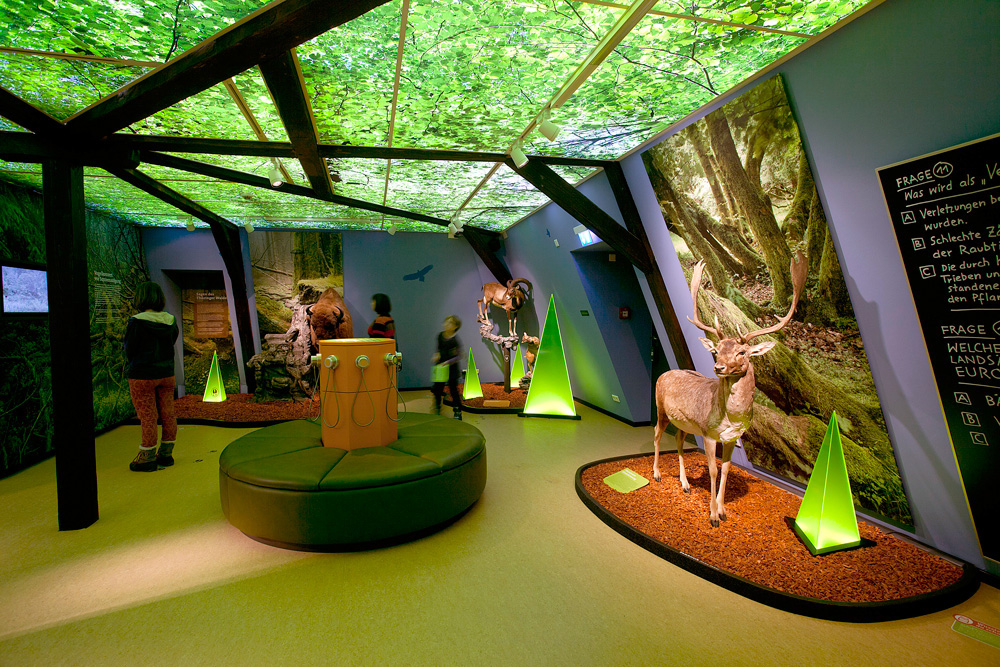 Haus der Natur in Goldisthal