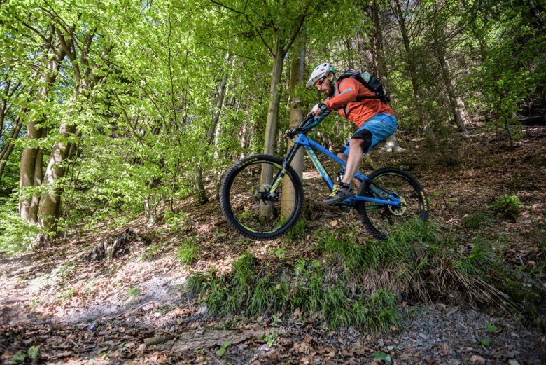 Mountainbiker am Rennsteig_Tourismusregion Coburg.Rennsteig_Rainer-Brabec