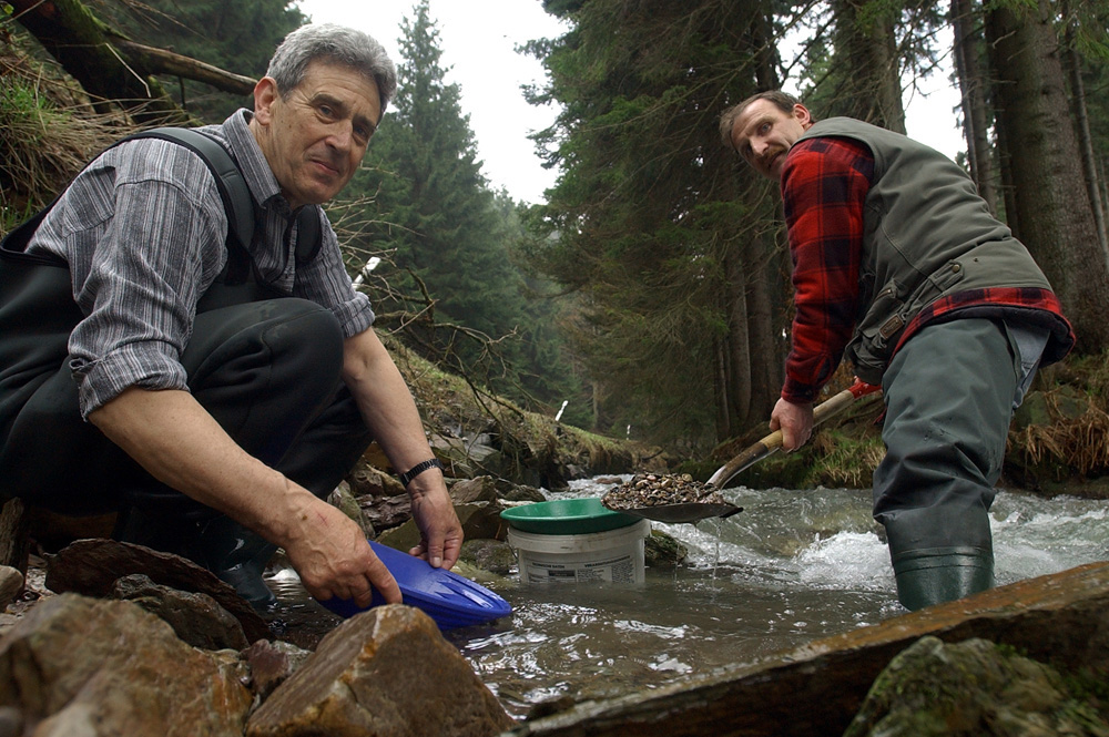 Goldwaschen im Grümpental
