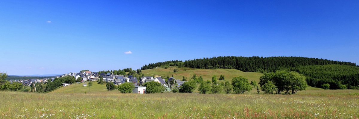 Steinheid_Bergwiese mit Blick auf den Ort und den Hausberg "Kieferle"_Stadt Neuhaus am Rennweg